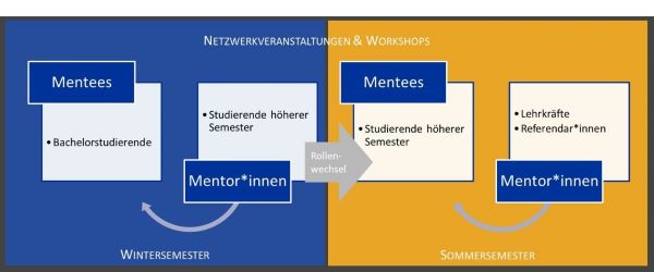 Grafik zur Veranschaulichung des Mentoringsystems