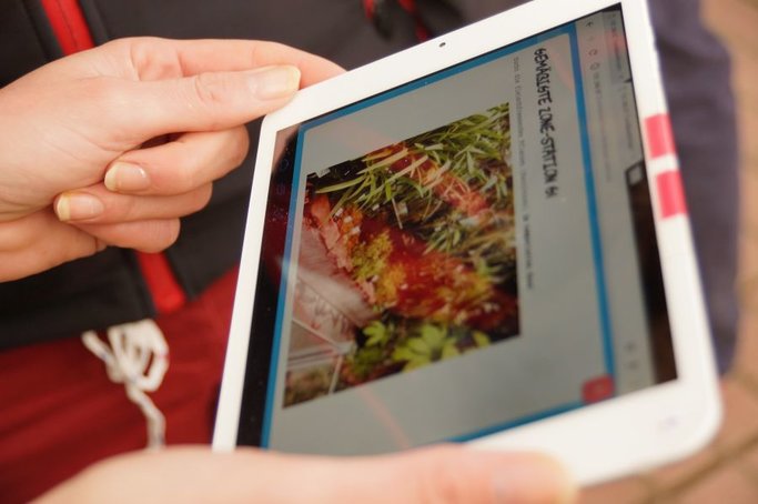 Das Projekt MeSUS arbeitet an der Schnittstelle von Universität (TU Kaiserslautern) und Studienseminaren zur Professionalisierung von Lehramtsanwärter*innen und Fachleiter*innen beim Lehren und Lernen mit digitalen Medien, wobei Ergebnisse des Projekts „U